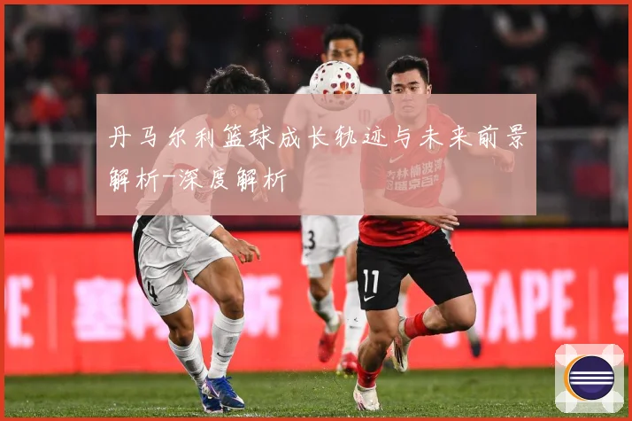 丹马尔利篮球成长轨迹与未来前景解析-深度解析