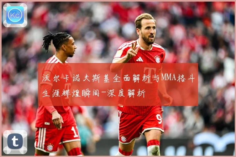 沃尔卡诺夫斯基全面解析与MMA格斗生涯辉煌瞬间-深度解析